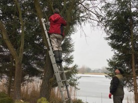 Brigáda na rybníce Struhy, prořezávání stromů